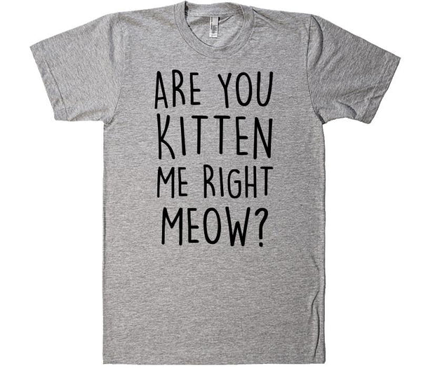 are you kitten me right moew? t-shirt – Shirtoopia
