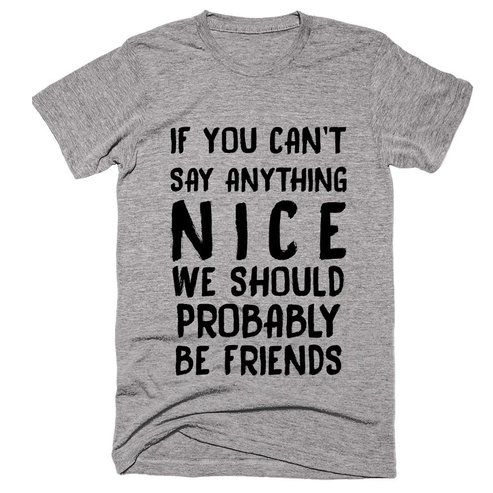 If You Can’t Say Anything Nice We Should Probably Be Friends T-shirt ...