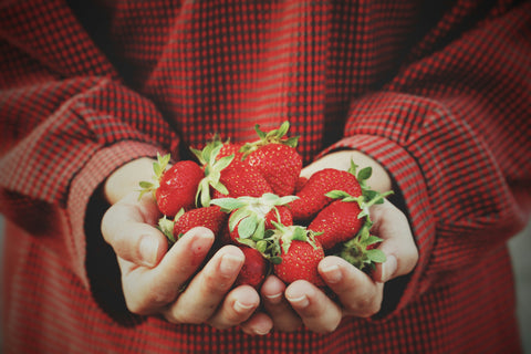 Twee hande vol met verse rode aardbeien