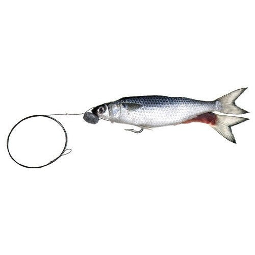 Tournament Chum 7 Lb - Blue Label - Double Ground - Frozen