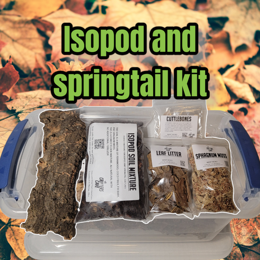 Top Opening Terrestrial Kit, Enclosure Kit For Tarantula