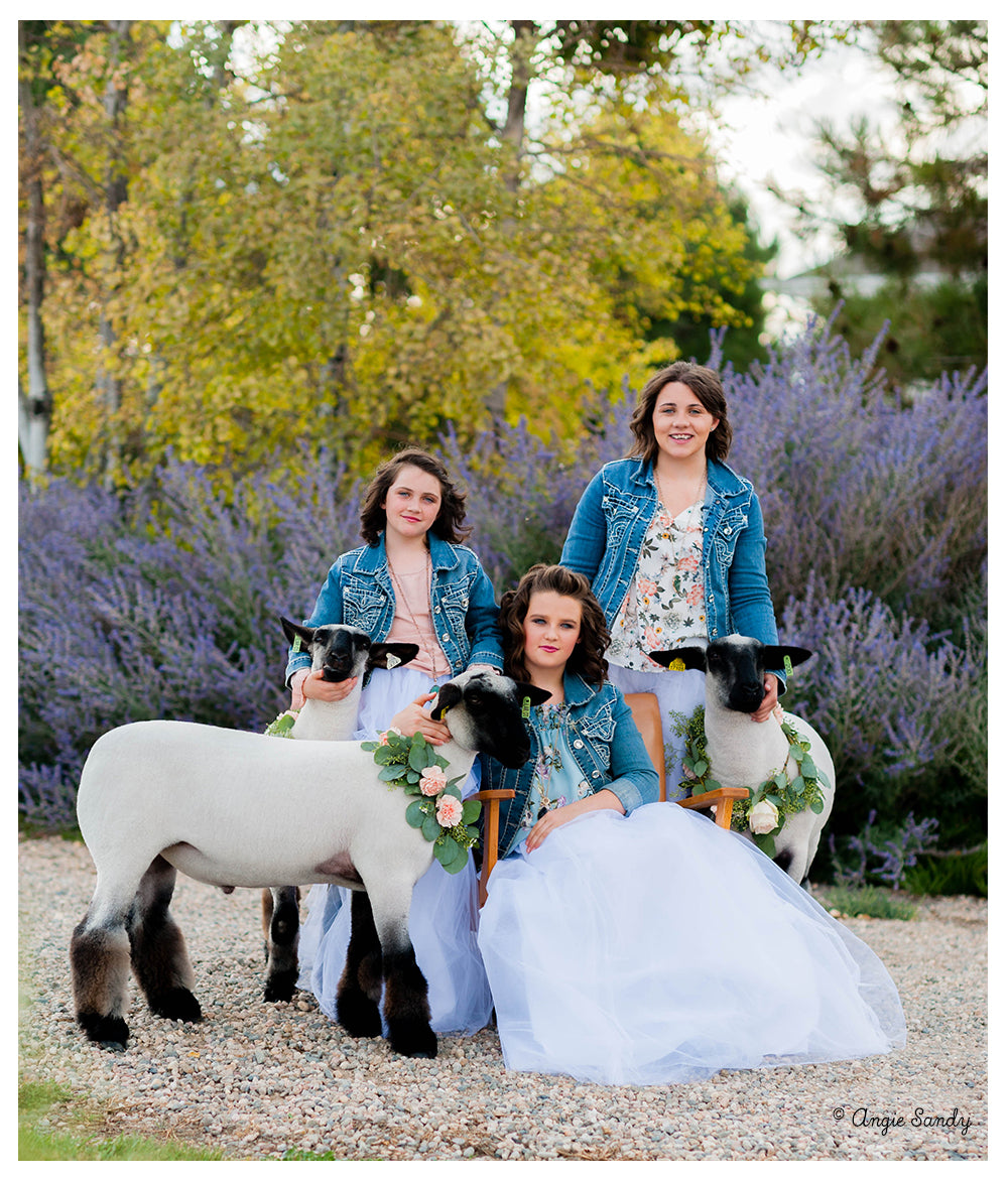 Sandy Sisters Lamb Photoshoot - Flowers & Tulle 