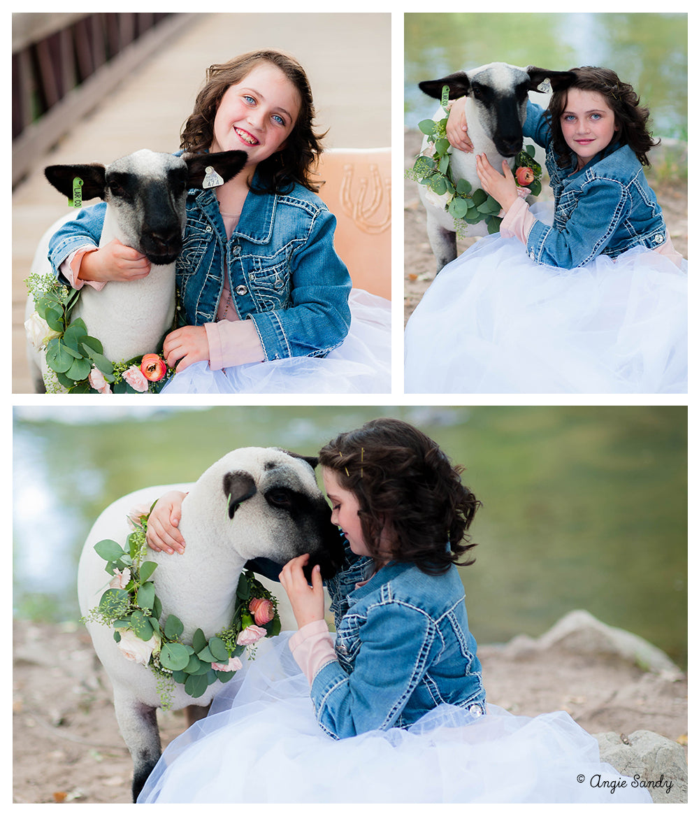 Sandy Sisters Lamb Photoshoot - Livestock Photography 