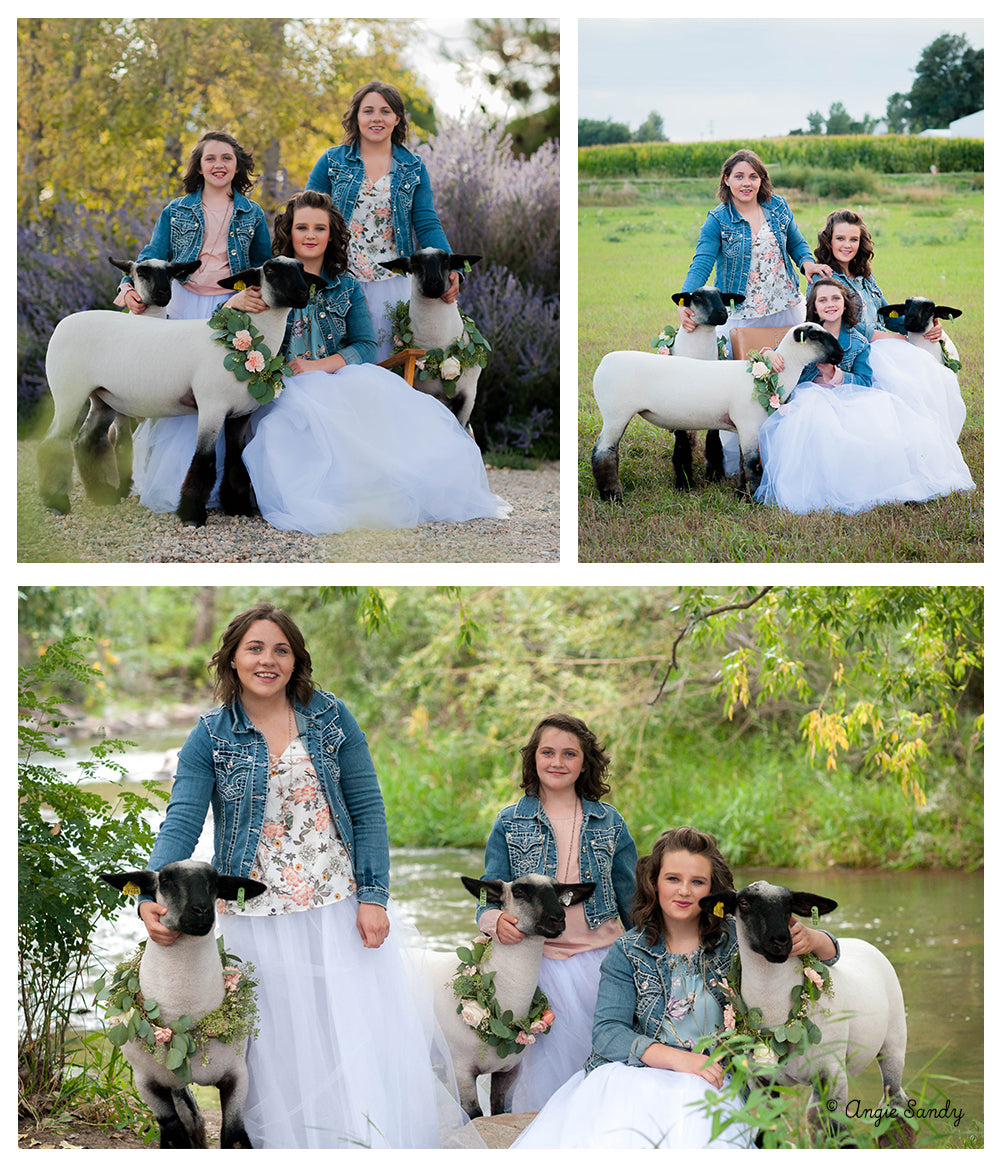 Sandy Sisters Lamb Photoshoot - Stock Show Life 