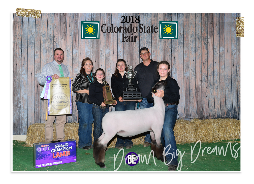 Colorado State Fair Champion Market Lamb 2018