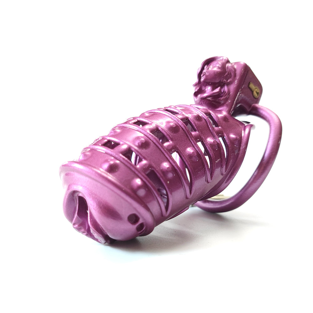 Spiked Bdsm Cock Cage Pussy Vaginal Chastity Devices Cage Gxlock Store