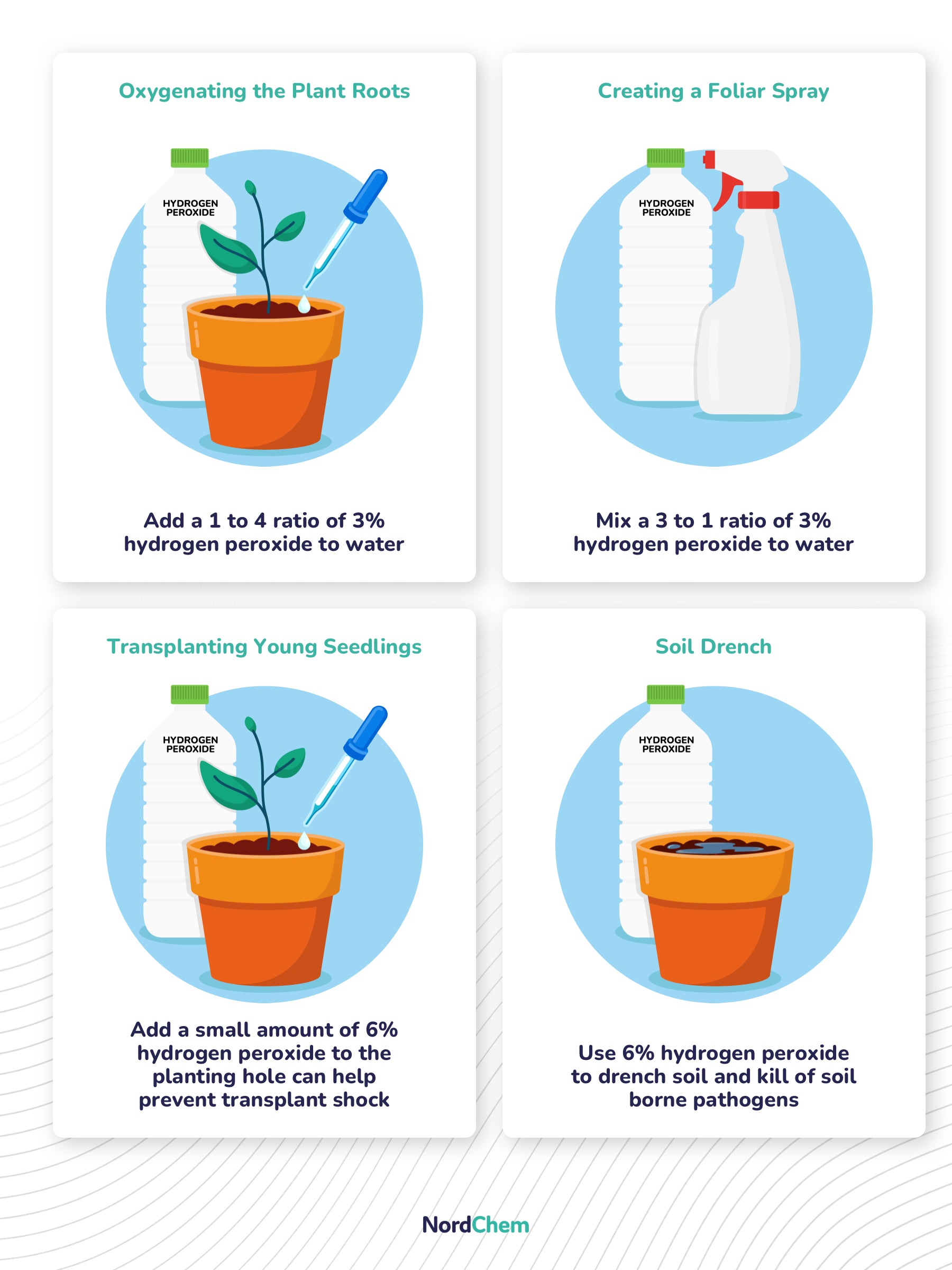 image detailing how much hydrogen peroxide for plants