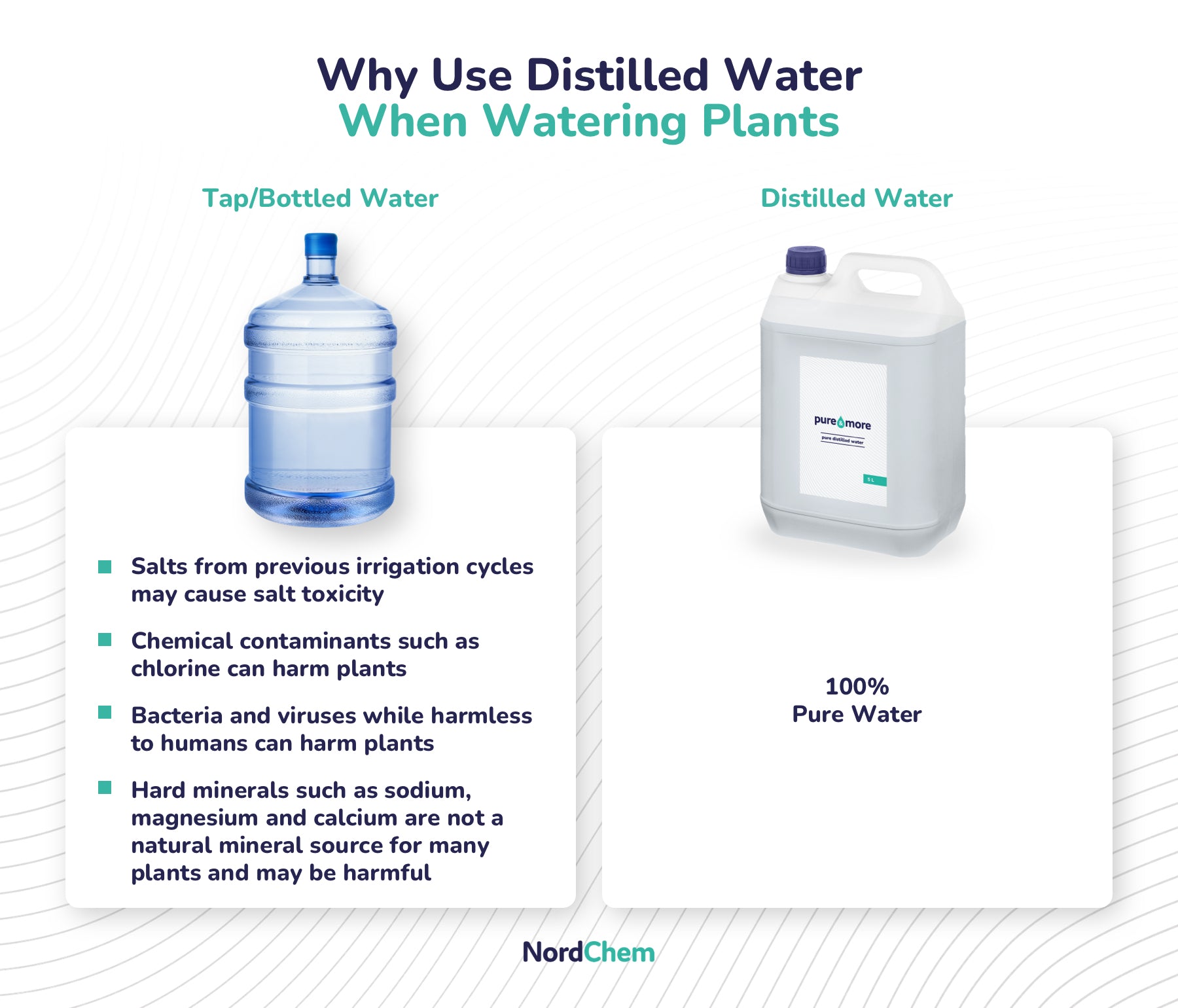 image showing the key reasons to use distilled water for watering plants