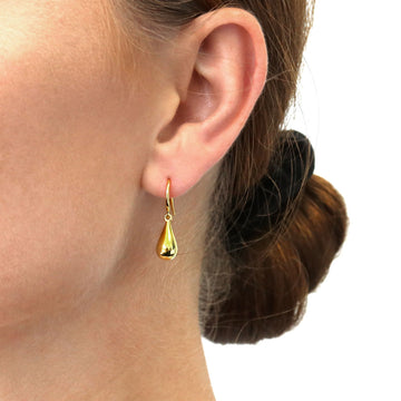 Golden Ear Hooksdrop Earrings Earring Hooks S925 Gold 