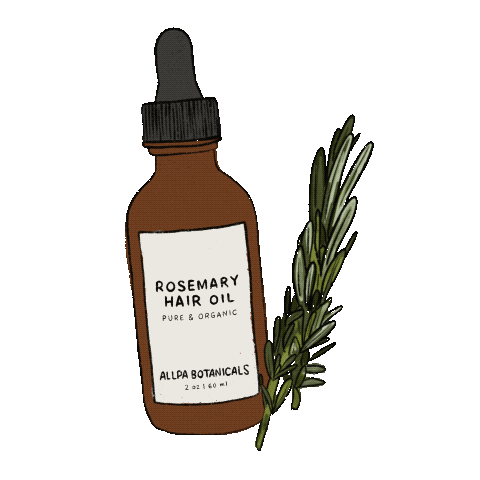 rosemary oil for hair growth 