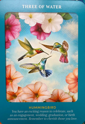 water card pull with three hummingbirds gathering while surrounded by flowers.