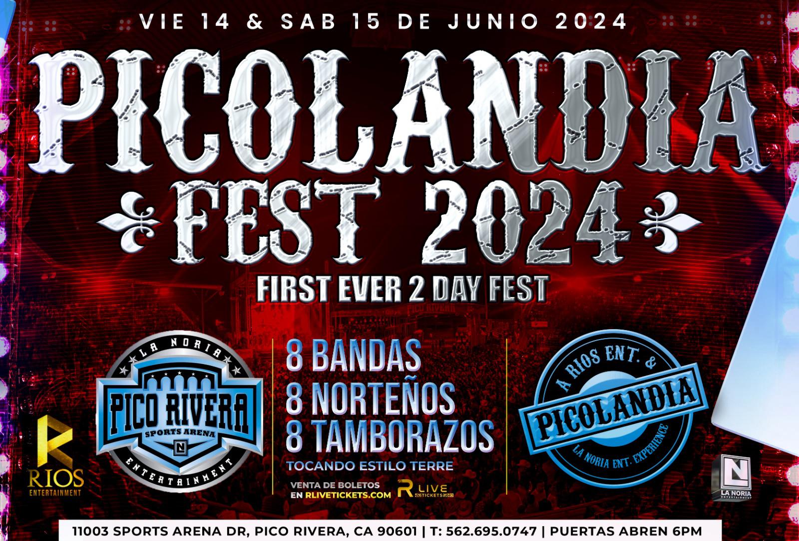 PICOLANDIA FEST flyer