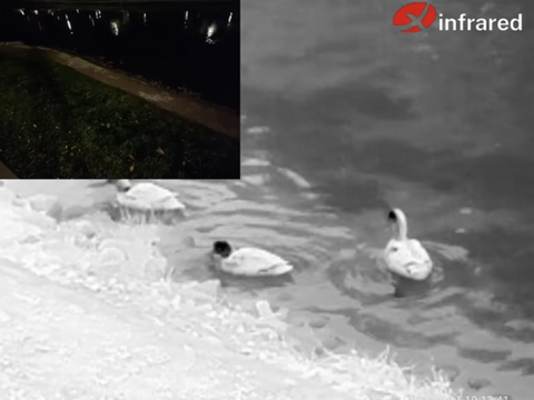 02-Finding ducks with a thermal camera