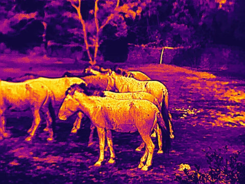 spot your target easier with thermal camera