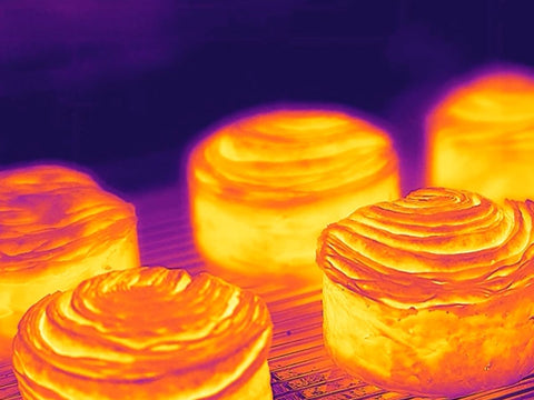 thermal imaging ensures that pests do not infiltrate the production process- maintaining food safety