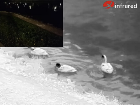 05 Finding ducks with a thermal camera