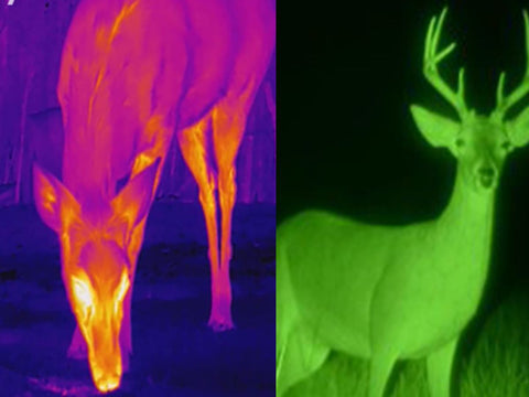 09 difference between thermal imaging and night vision