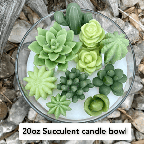 https://cdn.shopify.com/s/files/1/0635/6582/4217/products/20oz-soy-st-patricks-day-succulent-bowl-candle-st-patricks-day-candle-birthday-gift-custom-gift-857344_600x.png?v=1677838671