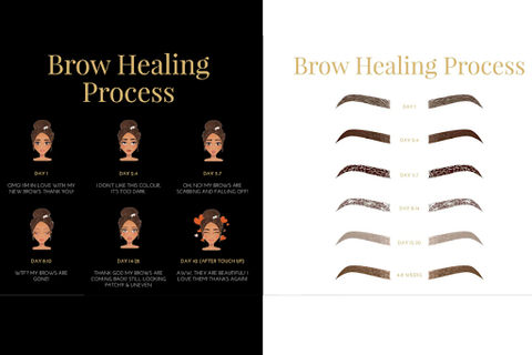 Brow healing process can take up to 50 days
