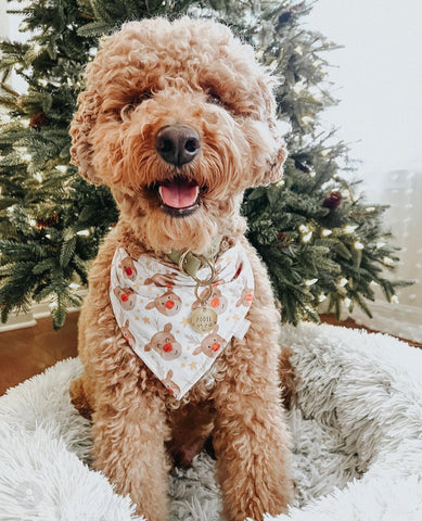 Moose prints dog bandana