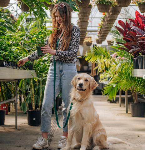 Hands free dog leash from Sunny Tails