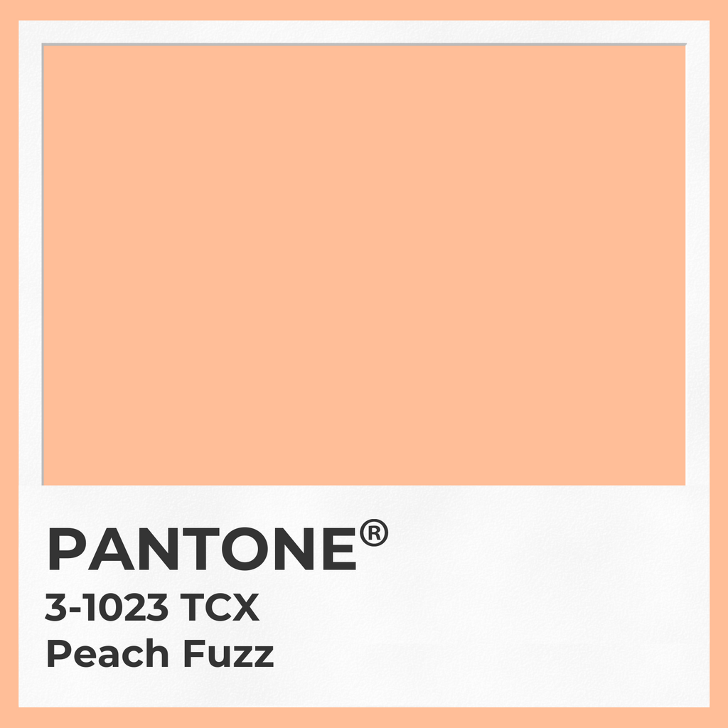 Beija Flor Colour of the Year Peachy Fuzz Pantone