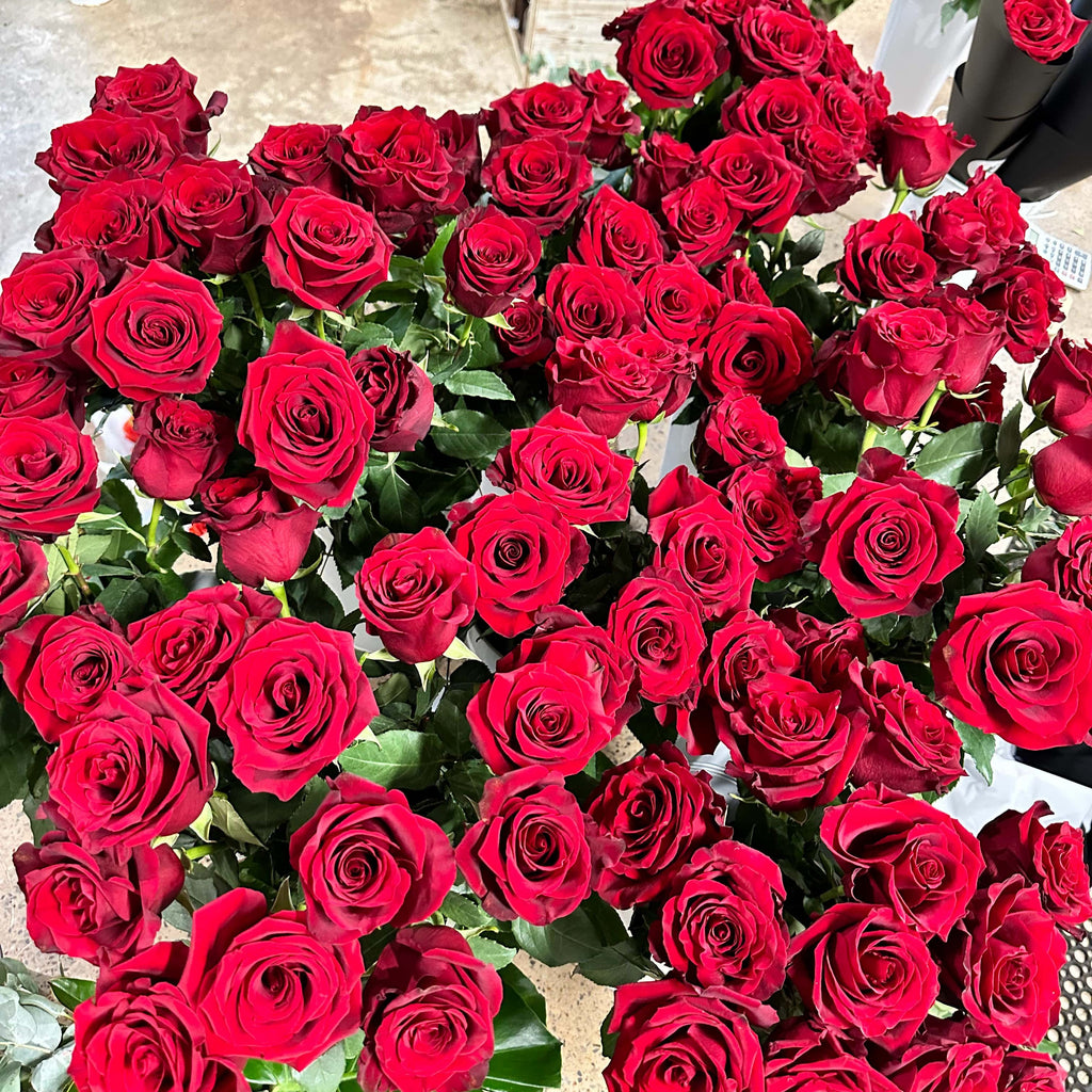 Beija Flor February Florals a bunch of Red Roses