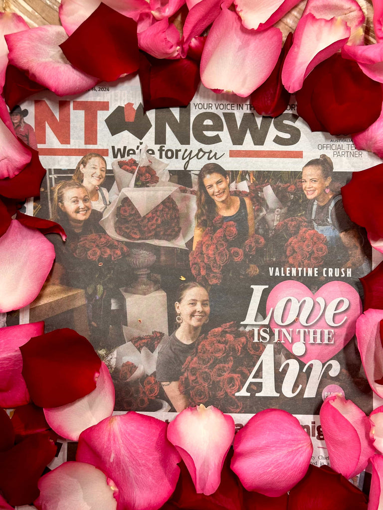 Beija Flor Team on Valentine’s Day - NT News Front Page Cover