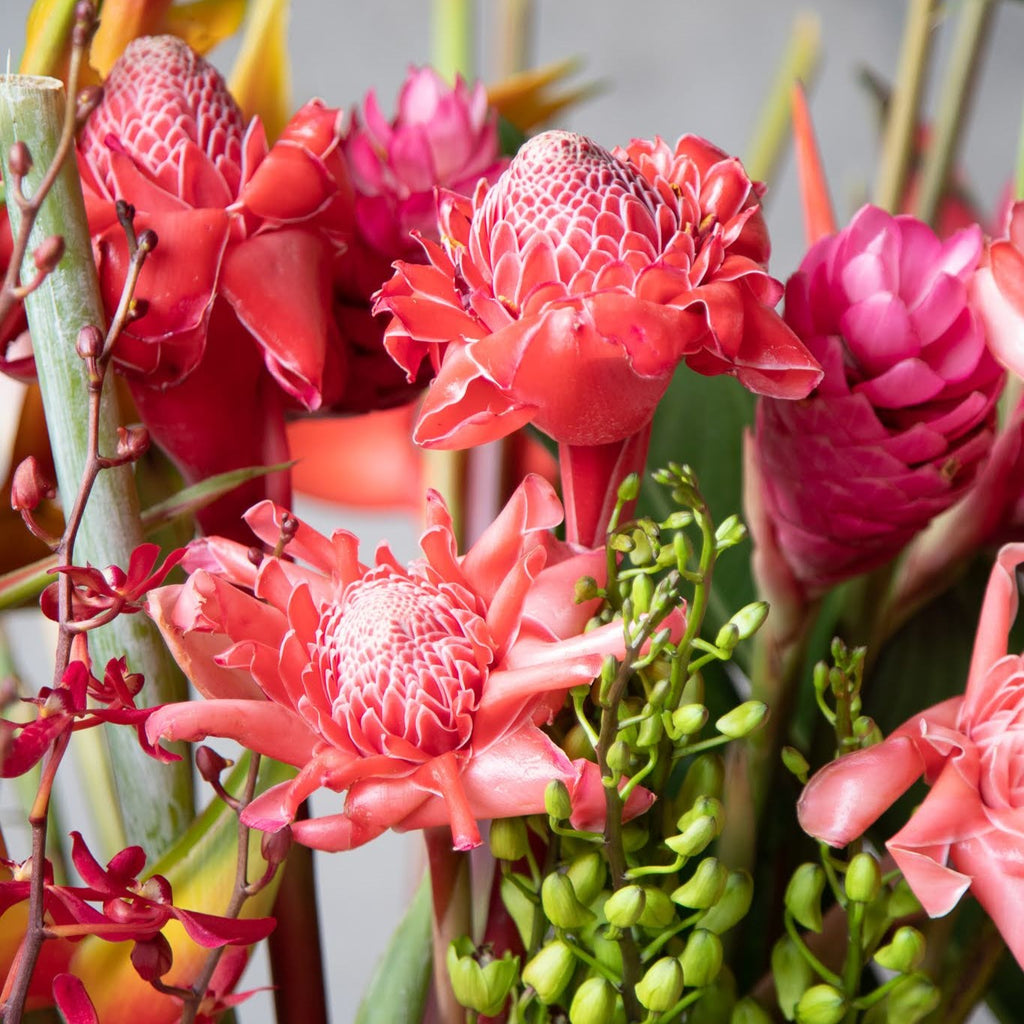 bunches of red and pink Ginger Torch and Alpinia by Beija flor