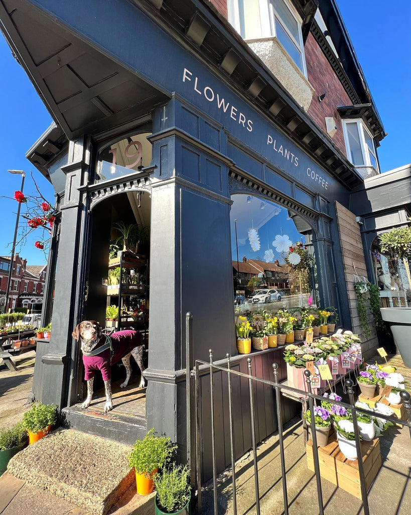 The Perfumed Garden, Chapel Allerton, a local independent florist in the UK