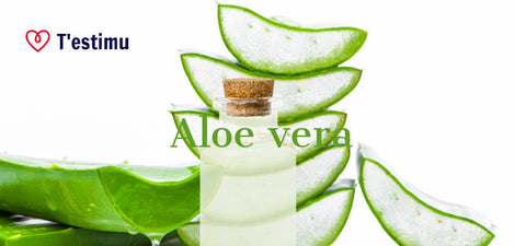 Aloe Vera pour le visage chez T'Estimu Moda, testimu.com