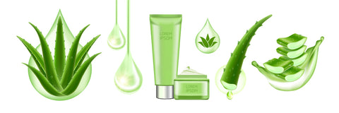 Aloe Vera, ideal para hidratar el cuerpo y la cara, en T'Estimu Moda, testimu.com