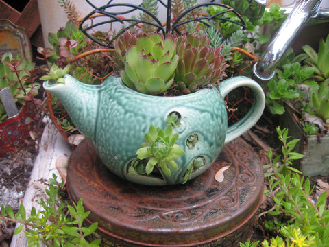 teapot planter for garden