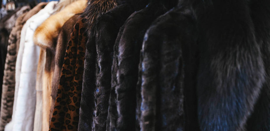vault and fur coat