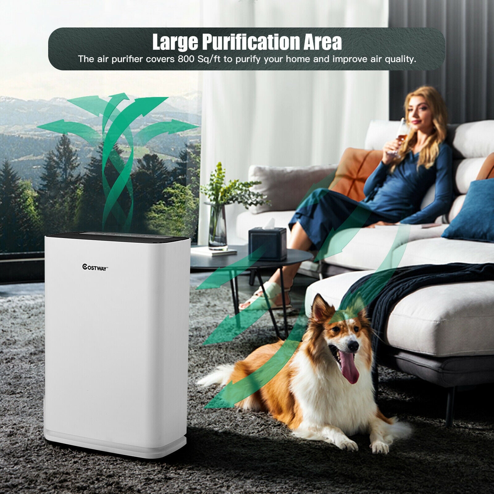 High Efficient Air Purifier: With a CADR of 300m3/h, making it suitable for various locations such as bedrooms, living rooms, and kitchens. It consists of a pre-filter, a HEPA-efficient filter, and an activated carbon filter, effectively eliminating dust, allergens, smoke, odors, pet fur, and more.