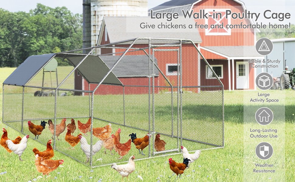 Secure Lockable Steel Door: The steel door is equipped with a latch and steel wire ties, enhancing safety while making feeding and cleaning effortless. This coop incorporates essential features to create a comfortable poultry habitat.