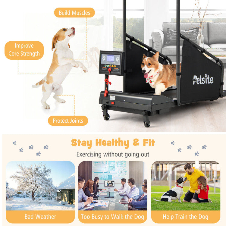 <strong>Pro Pet Fitness Solution:</strong> Combat pet health issues like obesity and poor endurance with our high-performance dog treadmill. Tailored for dogs and cats, it ensures adequate exercise, promoting weight loss and overall well-being. Ideal for indoor use during unfavorable weather, guaranteeing your pet's fitness anytime.<br>