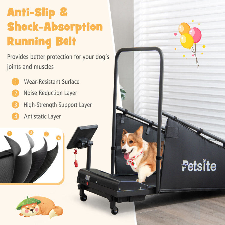 <strong>3 Adjustable Base Heights:</strong> Achieve hassle-free installation in just 20 minutes. Built-in wheels facilitate easy relocation, and three adjustable base heights cater to different pet sizes. Prioritize a secure setup by ensuring proper pin insertion and wire connections before initiating treadmill use. Contact our customer service for any assistance.