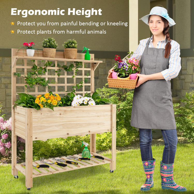Ergonomic Design: At 54" in height, our garden bed eliminates the need for bending or kneeling during planting, caring, or harvesting. This ergonomic design reduces strain on your spine and knees, enhancing your gardening experience.