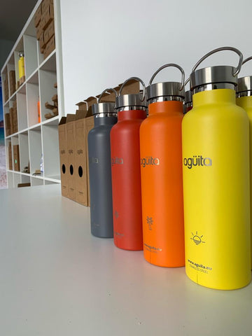 colection insulated bottles