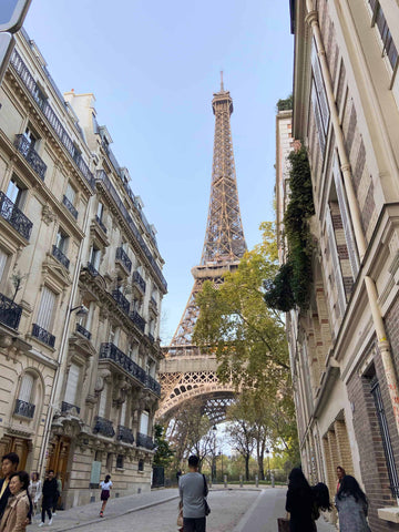 eiffel tower, a romantic spot for a proposal in paris
