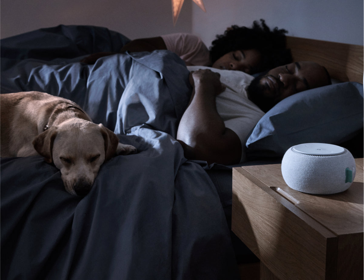 Couple sleeping with a dog in bed and the Tuft & Needle White Noise Machine on top of the T&N Night Stand