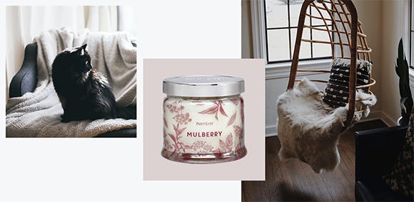 Mulberry Comfort. image