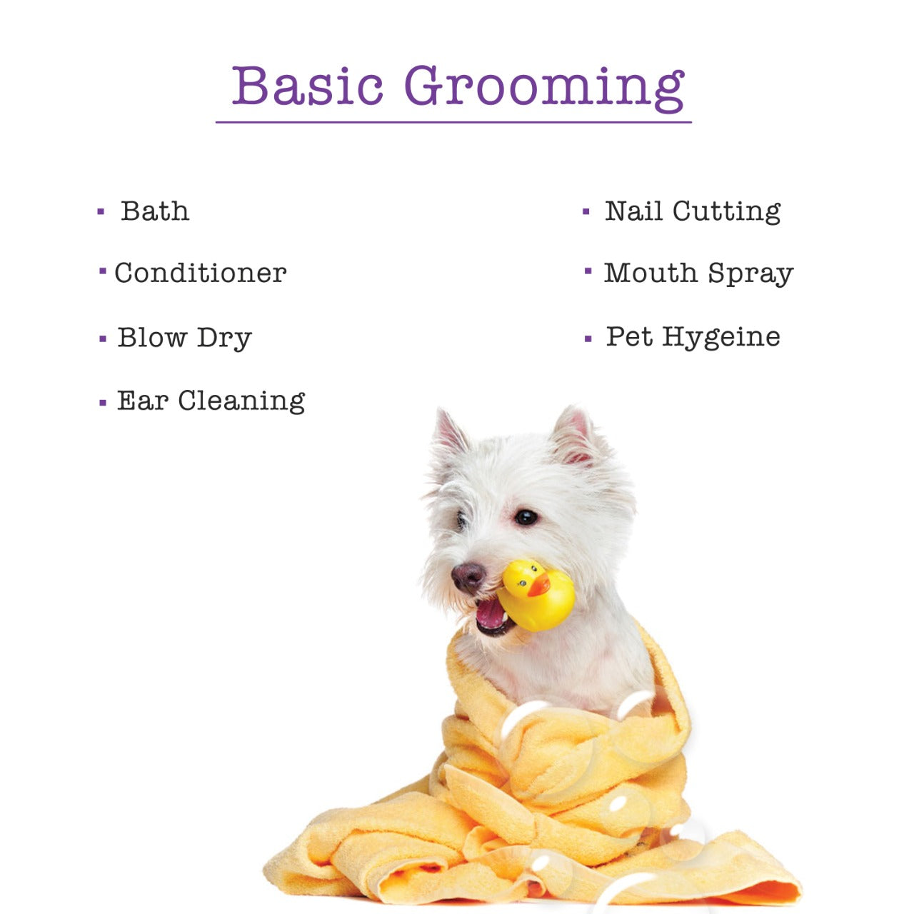 Basic-Grooming.jpeg__PID:08cc6728-7d12-42ad-8557-3717a1189109