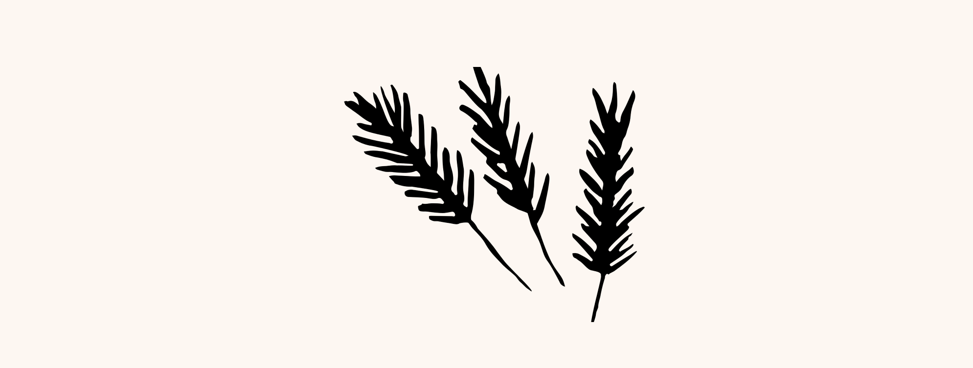 black line drawings of spruce twigs