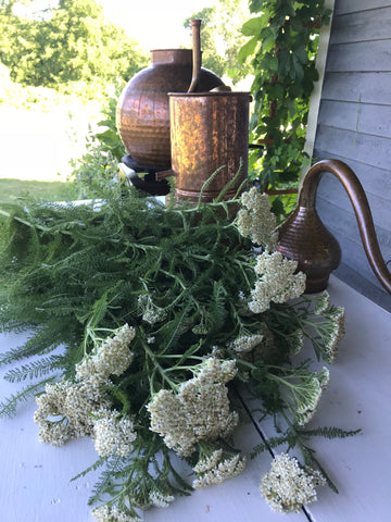 white yarrow flowers sit next to a copper still, ready to be loaded into the pot
