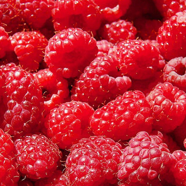 Framboises