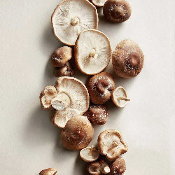 Shiitake