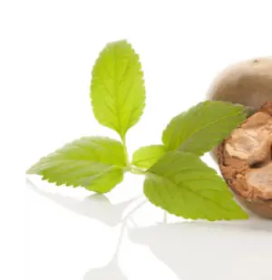 Monk fruit leaves