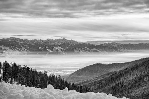 black and white snow landscape
